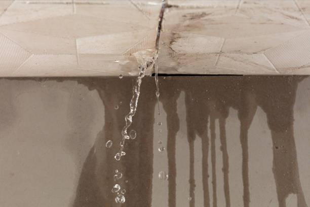 Professional Structural Drying technician working in Wyandanch, NY